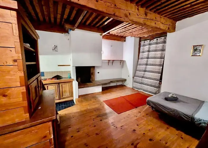 דירה Atypique En Hyper Centre - Calme Avec Wifi גרנובל